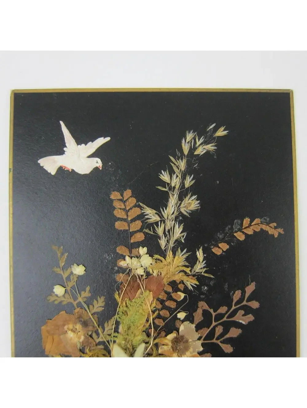 Victorian Greeting Card Pressed Flowers White Dove Bird Congrats German Antique